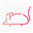 Mice Rat Mouse Icon