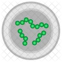 Microbe cell  Icon