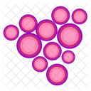 Microbe cells  Icon