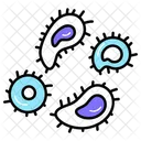 Microbe Culture Petri Dish Culture Dish Icon