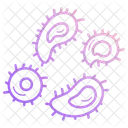 Microbe Culture Petri Dish Culture Dish Icon