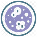 MICROBIOLOGY  Icon