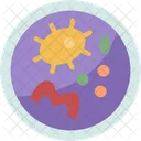 Microbiology Bacterial Culture Icon