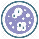 Bacteria Immunity Dna Icon