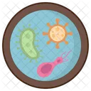 Microbiology  Icon