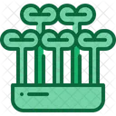 Microgreen  Icon