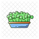 Microgreens  Icon