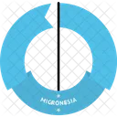 Micronesia  Icon