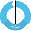 Micronesia Pais Bandeira Ícone