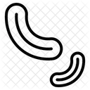 Microorganism Icon