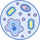 Microorganism Culture Bacterium Germ Icon