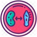 Microorganism culture Icon