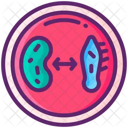 Microorganism culture  Icon