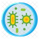 Microorganism  Icon