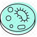 Microorganismo Bacteria Virus Icono