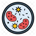 Microorganisms  Icon