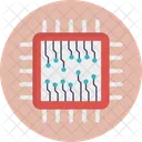 Microprocesseur Puce Electronique Circuit Icône