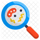 Microorganismos  Icon