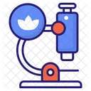 Microscope Flower Research Research Icon