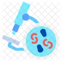 Virus Microscope Laboratory Icon