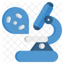 Microscope  Icon