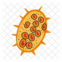 Microscopic  Icon
