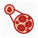 Microscopic Blood Cell Microscope View Research Icon
