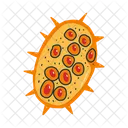 Microscopico Criatura Micro Ícone