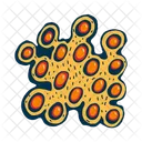 Microscopico Criatura Micro Ícone