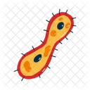 Microscopico Criatura Micro Ícone