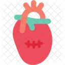 Microsurgery Surgery Heart Icon
