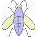 Midge Insect Tiny Icon