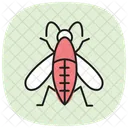 Midge Insect Tiny Icon