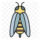 Miel de abeja  Icono