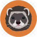 Katzchen Tierarzt Haustier Icon