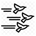 Migración de aves  Icono