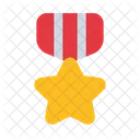 Military Badge Veteran Icon
