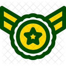 Military Badge  Icon