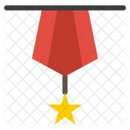 Military Badge  Icon