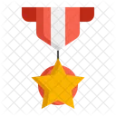 Military Decoration  Icon