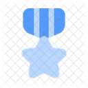 Military Badge Veteran Icon
