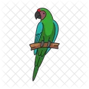 Military macaw  Icon