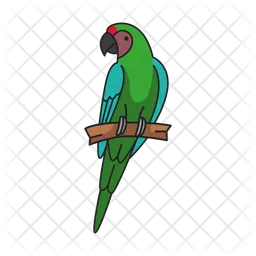 Military macaw  Icon