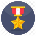 Military Badge Military Medal Award Icon