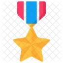 Military Medal Award Honor Icon
