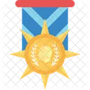 Military Medal Star Icon