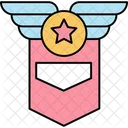 Military shield  Icon
