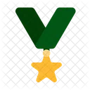 Military star medal  Icon