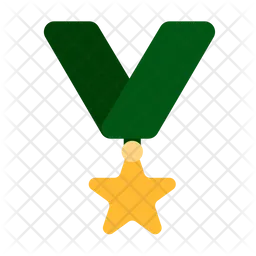 Military star medal  Icon