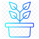 Pot Plant Icon